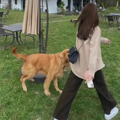 完美的谋杀